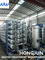 220 V 380 V PLC HMI Ultraczysta instalacja do oczyszczania wody